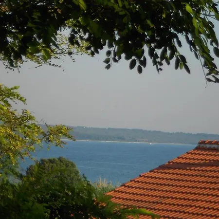 In Privlaka With Balcony, Air Conditioning, Wifi, Dishwasher 878-1 Apartment Privlaka (Zadar)